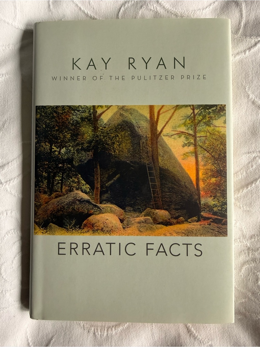 Erratic Facts Kay Ryan Hardcover Poetry Book